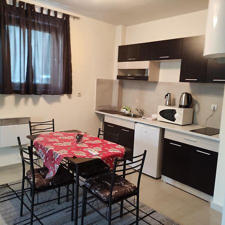 Villa Kalina Apartments 班斯科 外观 照片