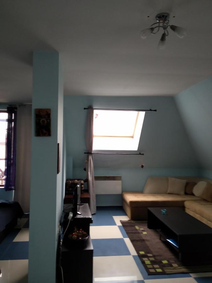 Villa Kalina Apartments 班斯科 外观 照片