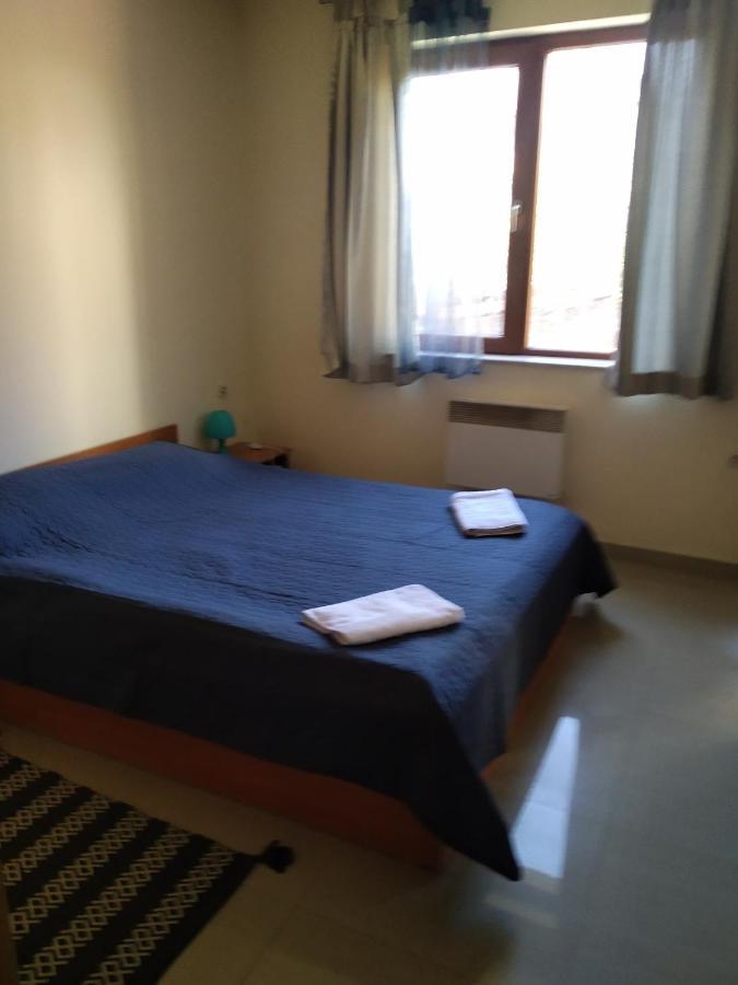 Villa Kalina Apartments 班斯科 外观 照片