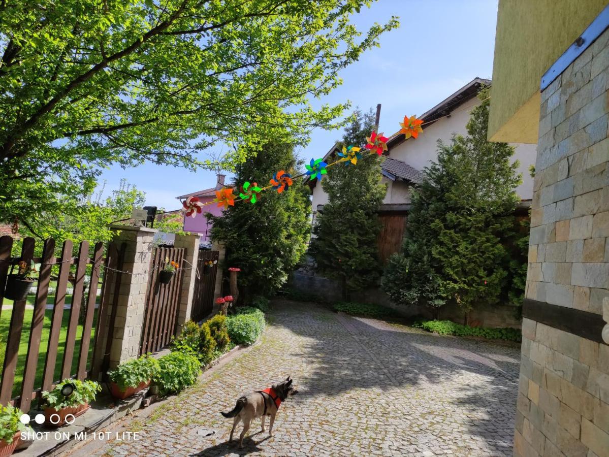 Villa Kalina Apartments 班斯科 外观 照片