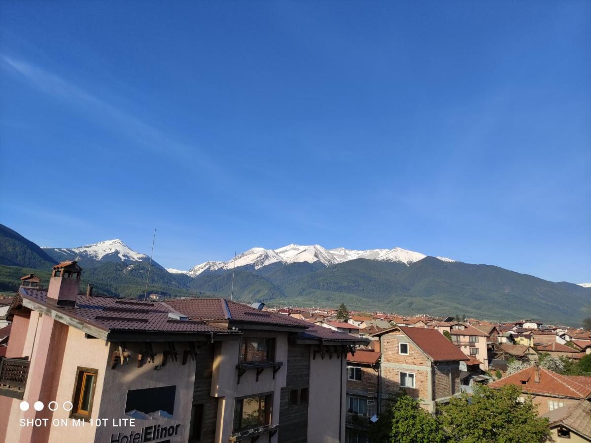 Villa Kalina Apartments 班斯科 外观 照片