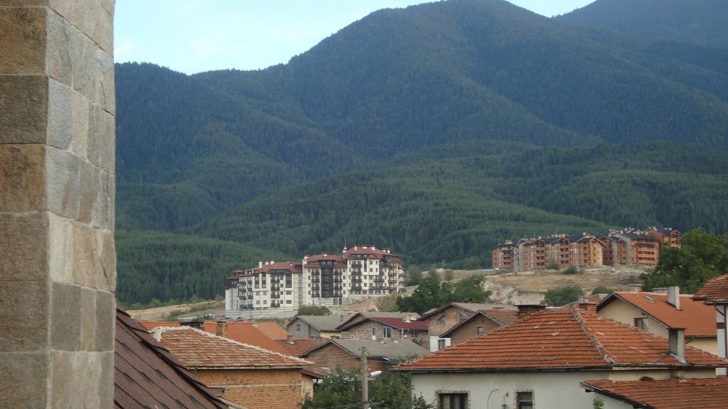 Villa Kalina Apartments 班斯科 外观 照片