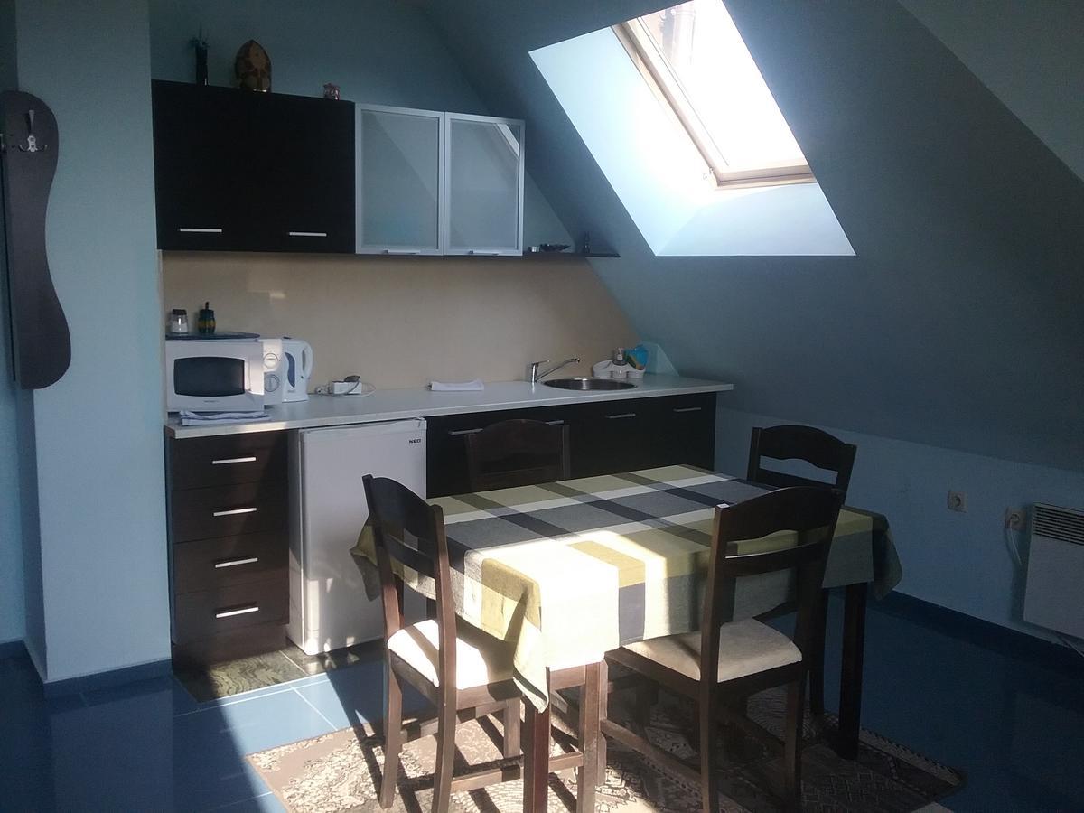 Villa Kalina Apartments 班斯科 外观 照片